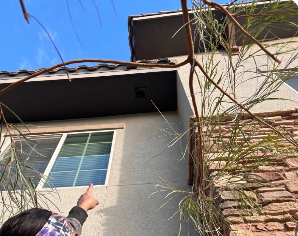 Lint blowing clear of an exterior dryer vent during cleaning