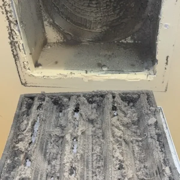 A dryer vent hood and screen packed with lint