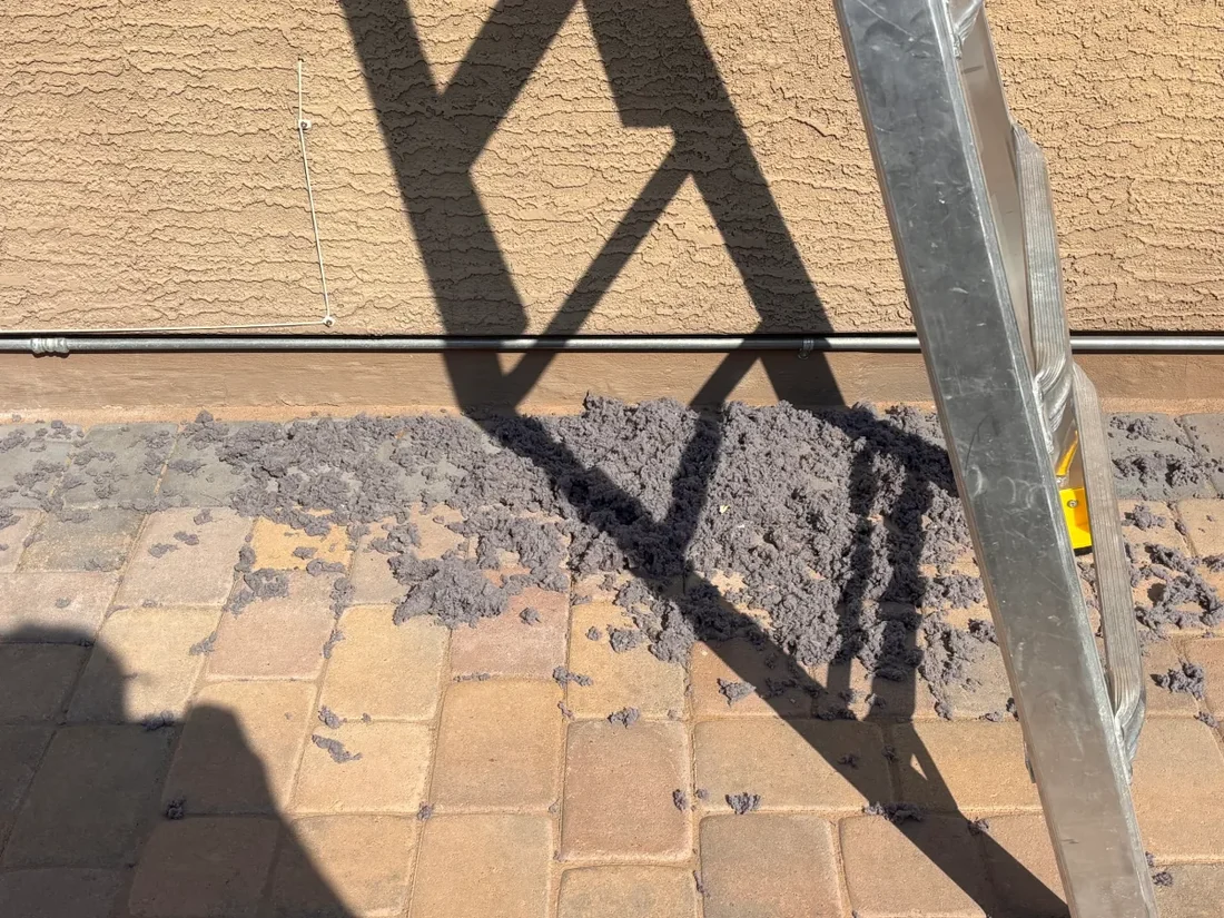 Lint pulled clear of a vent and lying on the ground